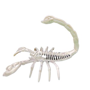 Modelo de Esqueleto de Escorpión Qiankun, Resina Plástica, Decoración de Halloween, Adorno - Product Image 5