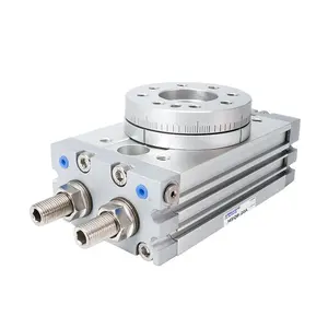 China Manufacturer Air Rotary Actuators 0/180 Degrees Swing Solid MSQB Hydraulic Rotary Table Cylinder