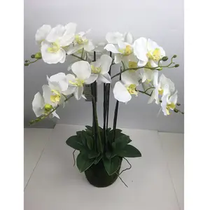 Flores artificiales de 6 tallos, orquídeas artificiales de seda en maceta de estilo australiano para flores decorativas de 60cm y coronas de 62x40x42cm