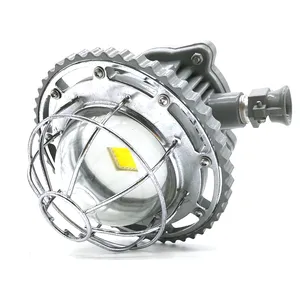 Energie spar fabrik E27 30W LED-Lampe IP66 Explosions geschützte Aluminium-LED-Lampe