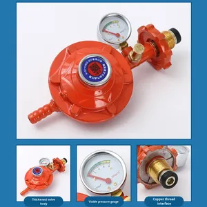 नया राष्ट्रीय मानक 0.6 प्रत्यक्ष-माध्यम दबाव गेज विस्फोट-प्रूफ स्व-बंद तरलीकृत गैस दबाव को कम करने वाले वाल्व - Product Image 2