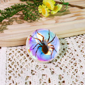 Insecto resina artesanía pisapapeles insecto resina espécimen juguete Real insecto espécimen artesanía acrílico pisapapeles regalos - Product Image 1