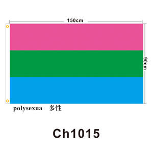 Bandera de Orgullo LGBT de 5x3 pies con Asta de Fibra de Vidrio, Bandera de Progreso del Orgullo Gay, Educativa y Promocional - Product Image 4