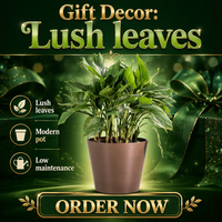 Pot Bunga Plastik Bulat Modern dengan Alas, Ringan, Tahan Lama, Berwarna-warni, untuk Tanaman Indoor & Outdoor, Cocok untuk Berkebun di Rumah