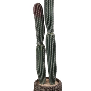 Cilindrico alla moda realistico artificiale <span class=keywords><strong>cactus</strong></span> con vasi per la decorazione interna esterna - Product Image 1