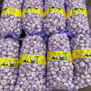 Chất Lượng Cao Hữu Cơ Bình Thường Tỏi Trắng Tươi Trắng 5.5Cm 10Kg Trong Lưới Túi Chi Phí Hiệu Quả Cho Thực Phẩm Sử Dụng - Product Image 3