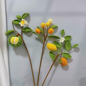 Bouquet di filato creativo all'uncinetto fatto a mano di frutta <span class=keywords><strong>e</strong></span> verdura, Durian, uva, Loquat, Yangtao, cachi, Mango, pesca, zucca - Product Image 2