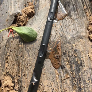 Hệ thống tưới nhỏ giọt 1 héc-ta cho nông nghiệp, nhà kính, ruộng, nông dân, băng nhỏ giọt nhựa 16mm - Product Image 2