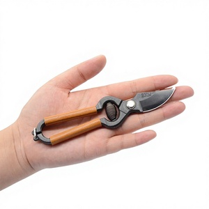 Ciseaux de taille-jardinage <span class=keywords><strong>Syu</strong></span> miniatures importés du Japon pour l'arrangement floral, la cueillette de fruits, usage domestique, pratiques et portables - Product Image 1