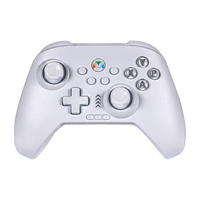 Control de Juego con Doble Sensor de Movimiento y Motores Dobles para Vibración, Correa Programable con Luces RGB para NS/PC/Android