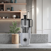 Elektrische RVS DC-motor slow juicer met koude persing, zelfreinigend, laag geluidsniveau, energiezuinig, huishoudelijk gebruik, geschikt voor fruit