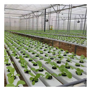Grand système de culture hydroponique en PVC de 100x50mm pour laitues et fraises - Product Image 2