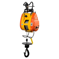 Treuil électrique à câble mini 110V/220V, capacité 500kg/280kg, longueurs de câble 30m/60m