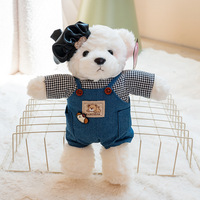 Ours en peluche mignon et habillé, en polyester doux et moelleux, brodé, pour décoration de canapé, cadeau de vacances pour enfants, personnalisable
