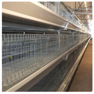 Yüksek kaliteli doğrudan üretmek güvercin üreme kafesi tasarım - Product Image 2