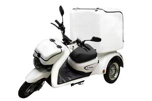 Mobiele Kleine Koelkast Driewielig Elektrisch Voertuig Kan Hoge Temperatuurvereisten Van Medicijnen, Voedselingrediënten Leveren - Product Image 3