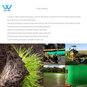 Filet <span class=keywords><strong>de</strong></span> renforcement pour <span class=keywords><strong>gazon</strong></span>, filet anti-érosion - Product Image 1