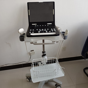 Appareil d'imagerie échographique vétérinaire portable, scanner Ecografo pour diagnostic animal, <span class=keywords><strong>échographie</strong></span>, équipement d'élevage - Product Image 2