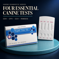 Carte de test rapide 4-en-1 pour chiens, détection des antigènes des virus CDV, CPV, CCV et Toxoplasma – Approvisionnement direct usine