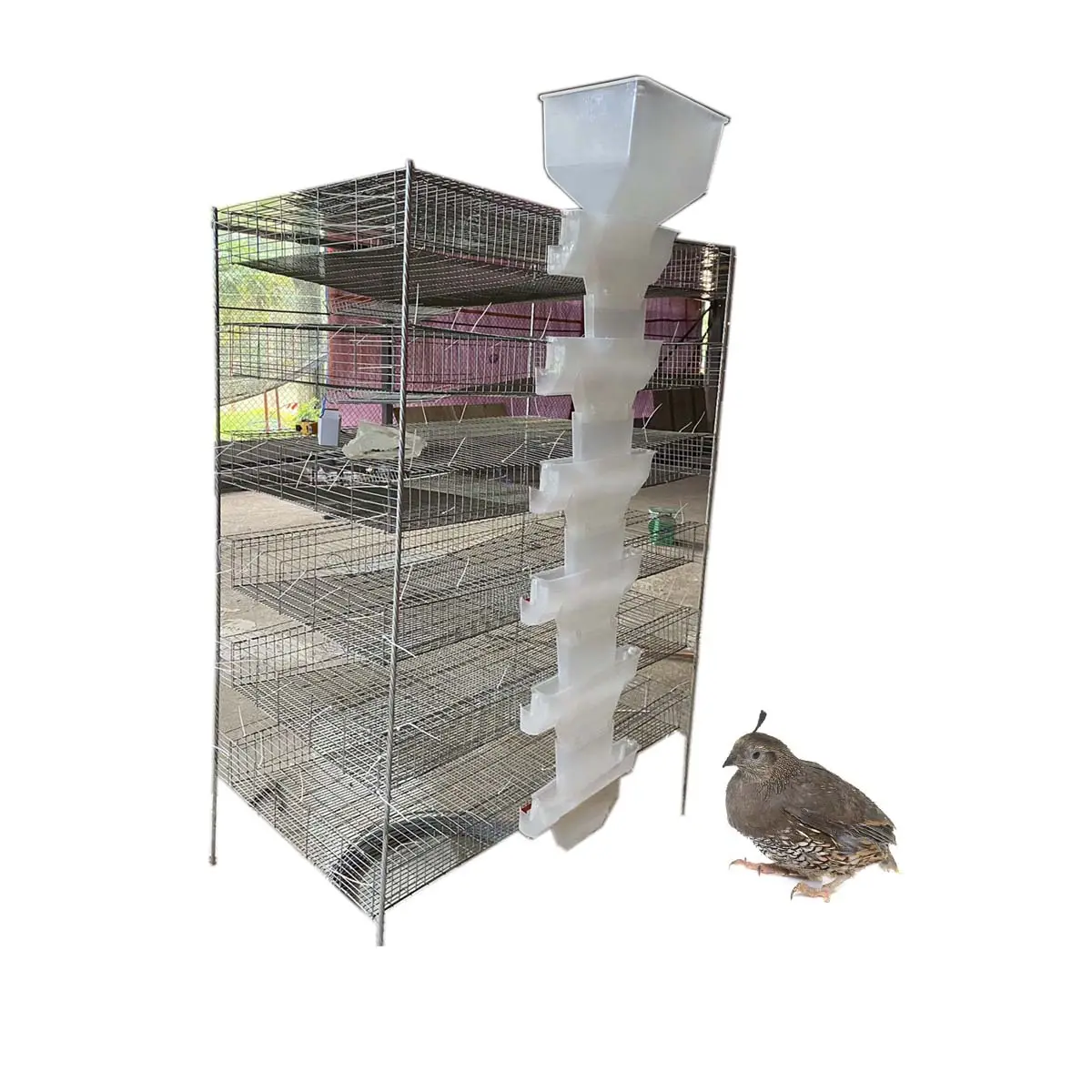 Customized 78cm wide quail cage encrypted poultry breeding HJ-DZ400A