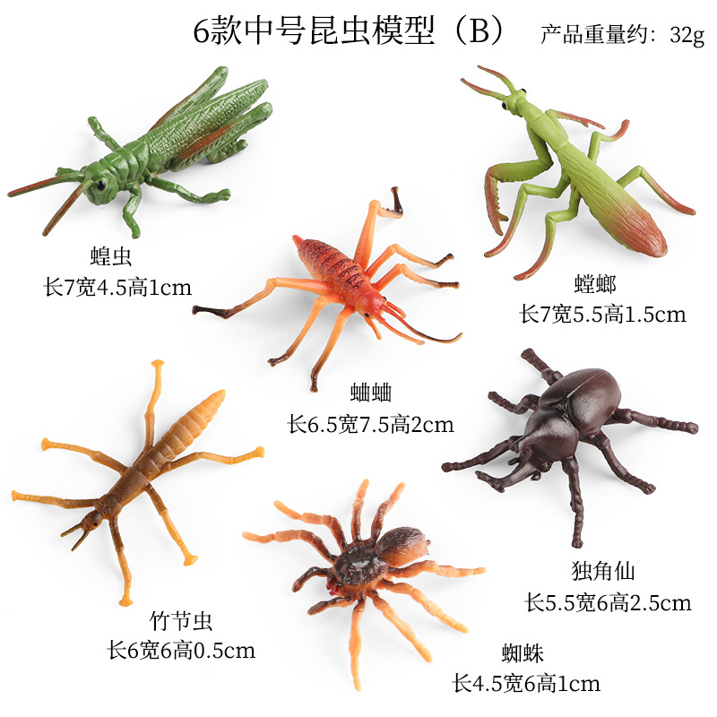 ZZ Medium Insecto 6 Set B