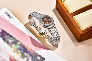 2025 nouveau PAGANI DESIGN luxe Sport acier inoxydable Quartz verre montres femmes multifonctionnel chronographe Phase de lune automatique - Product Image 6