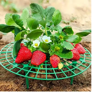 Support de sol moderne pour plantes de fraises, cadre de protection anti-ternissement et anti-éboulement, outil de culture pour jardinage - Product Image 2