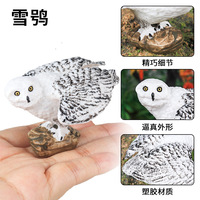 Modèle de jouet animal de simulation solide pour enfants yxs : Hibou des neiges, Aigle blanc, Ornement cadeau éducatif