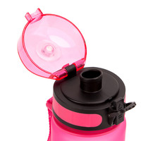Sans BPA 500ml Bouteille d'eau potable pour l'école des enfants personnalisée anti-fuite Insert de fruits en plastique Gym Running Personnalisable Drinkware