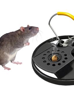 Piège à <span class=keywords><strong>souris</strong></span> automatique amélioré en plastique solide, rond, écologique, pour usage domestique et extérieur, pour l'élimination <span class=keywords><strong>des</strong></span> <span class=keywords><strong>souris</strong></span> - Product Image 6