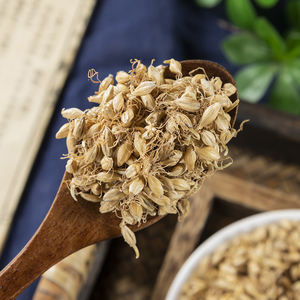 <span class=keywords><strong>Malt</strong></span> d'orge naturel séché de haute qualité, directement de l'usine, matière première végétale <span class=keywords><strong>pure</strong></span>, approvisionnement en vrac pour utilisation en transformation - Product Image 5