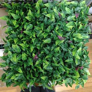 Panneau mural vert artificiel classique de 1x1m à très bas prix Stock à long terme Produit chaud Panneau mural en herbe de houx roux - Product Image 4