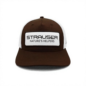 Gorra Trucker de Malla con Logotipo Personalizado al por Mayor, Gorra de 5 Paneles con Parche Bordado, Gorra de Béisbol Estructurada Transpirable, Gorra de Negocios, Gorras - Product Image 1