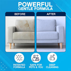 猫と犬のためのカスタムロゴペット臭気除去剤カーペット尿ステイン臭気脱臭スプレー - Product Image 5