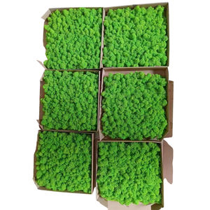 Vente en gros d'art mural en mousse naturelle véritable de haute qualité renne stabilisé vert mur en mousse conservée pour la décoration - Product Image 3