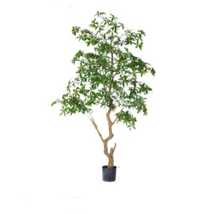 Plante artificielle sicilienne suspendue, Camélia <span class=keywords><strong>japonica</strong></span>, fausse plante <span class=keywords><strong>en</strong></span> pot, style nordique, inspirée d'Instagram, décoration de sol pour espaces intérieurs - Product Image 5