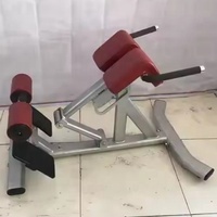 Machine d'extension dorsale de haute qualité pour musculation et entraînement sportif, équipement de fitness commercial et domestique avec garantie