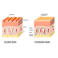 Fruitzuurschil Oplossing Vloeibare Acne Behandeling Gezicht Serum Essence Whitening Huidverzorgingsproducten Gezicht Exfoliërende