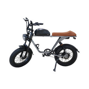 Vélo de montagne tout-terrain à pneus larges de 20 pouces avec batterie au lithium 48V 750-1000W haute puissance 60KM Vélo électrique - Product Image 2