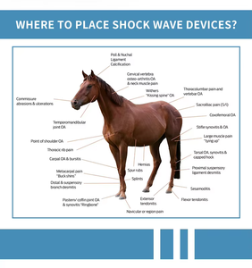Machines portatives de thérapie d'onde de choc pour des animaux de compagnie éprouvant la douleur et des lamenes - Product Image 2
