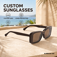 Lunettes de soleil œil de chat bicolores haut de gamme avec monture marron, système de clip magnétique, charnière renforcée, protection UV400, OEM ODM, vente en gros