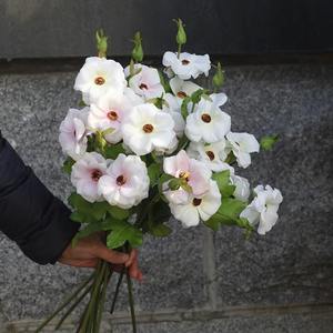 Blanc Bleu Salon Décoration De Mariage Tissu De Soie Fleur Artificielle <span class=keywords><strong>Hibiscus</strong></span> <span class=keywords><strong>Mutabilis</strong></span> pour Arrangement De Fleurs - Product Image 4