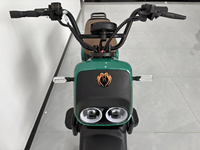 Moteur 800W 1000W Chine 2 roues Adulte Pas Cher E-Moped Vélo Cargo VTT Vélo de Route Fat Bike Vélo Pliant Urbain 48V/60V/72V 40-60km/h