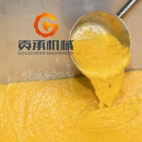 China Fabriek Prijs Goede Kwaliteit Compleet Vers Fruit Pulp Puree Productie Plant