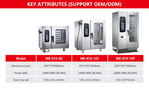 Four à vapeur combiné commercial multifonctionnel à convection et cuisson à la vapeur pour restaurants et hôtels, haute efficacité et durable - Product Image 3