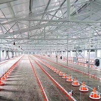 Mangeoire automatique en plastique pour animaux, mangeoire à caille, mangeoire turbo, mangeoire à poulet pour volailles, poulet de chair, vente en gros