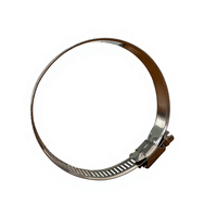 Collier de serrage américain à couple élevé 14,2 mm, bande perforée en acier galvanisé, clip de tuyau métrique robuste pour fluides industriels