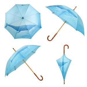 OEM/ODM <span class=keywords><strong>Parapluie</strong></span> droit imprimé baleine de style japonais avec manche en bois Protection UV Parasol contre le soleil et la pluie Fourniture directe en usine - Product Image 1