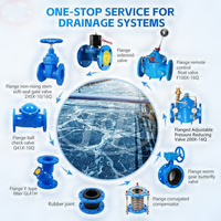 Saringan Y Strainer SS304 dengan Sumbat Layar, Badan Besi Ulet GGG50, PN10 PN16, Berflens, Bersertifikasi ISO9001, Filter Pipa, Suhu Maksimum 425C