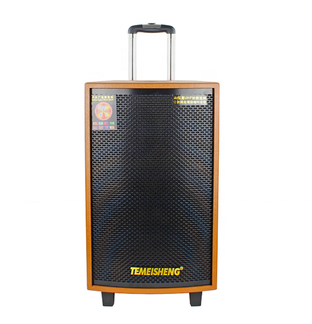 Coaxial Speaker 12 Inch Wooden Cabinet Dj Big Sound Active Speaker System Karaoke PA Party Speaker Sound Box